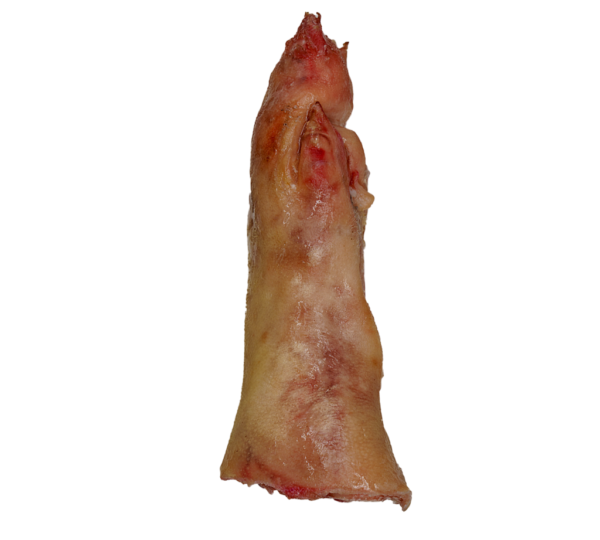 Pata de Puerco