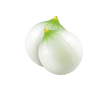 Cebolla Blanca