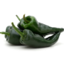 Chile Poblano
