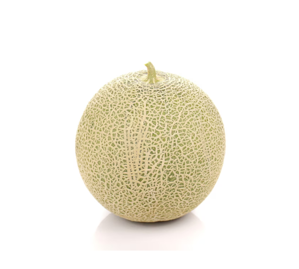 Melon